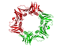 220px-E_coli_beta_clamp_1MMI.png