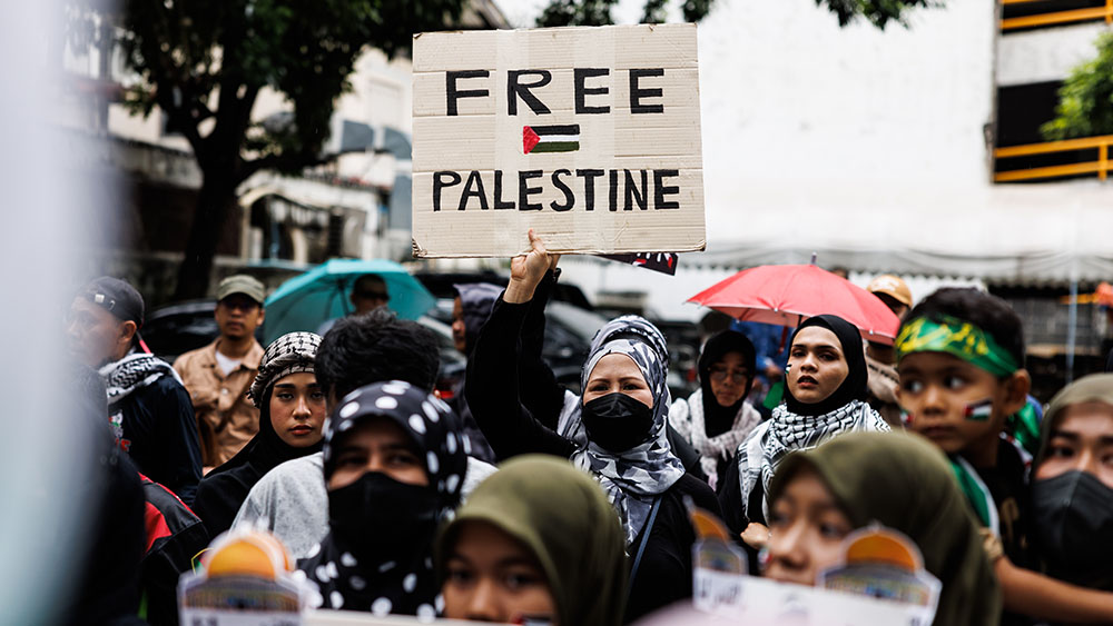 Pro-Palestine-Protesters-Free-Palestine-Poster.jpg