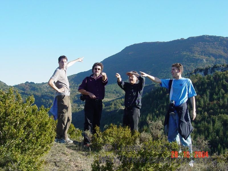 Our seasoned mountain climbing researchers have made it to the top and all have their own idea of which way to go next.