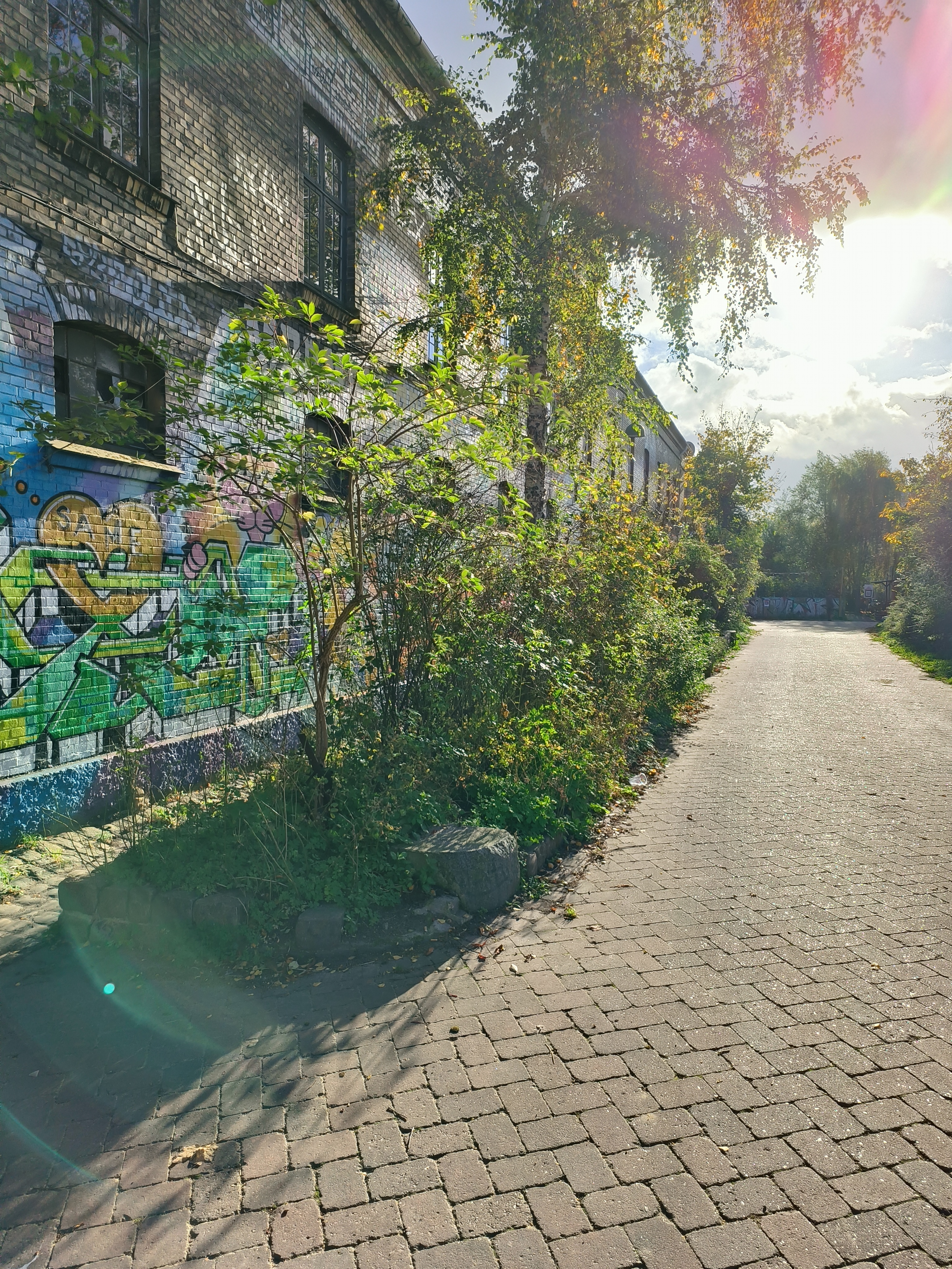 1000057362.jpg