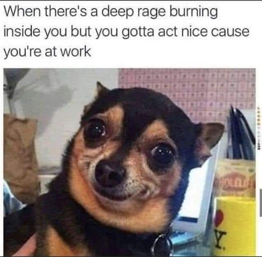 1724603942548.png