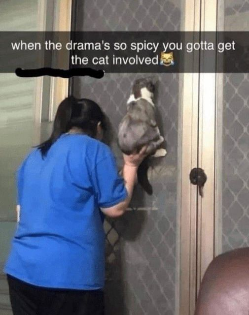1728057691697.png