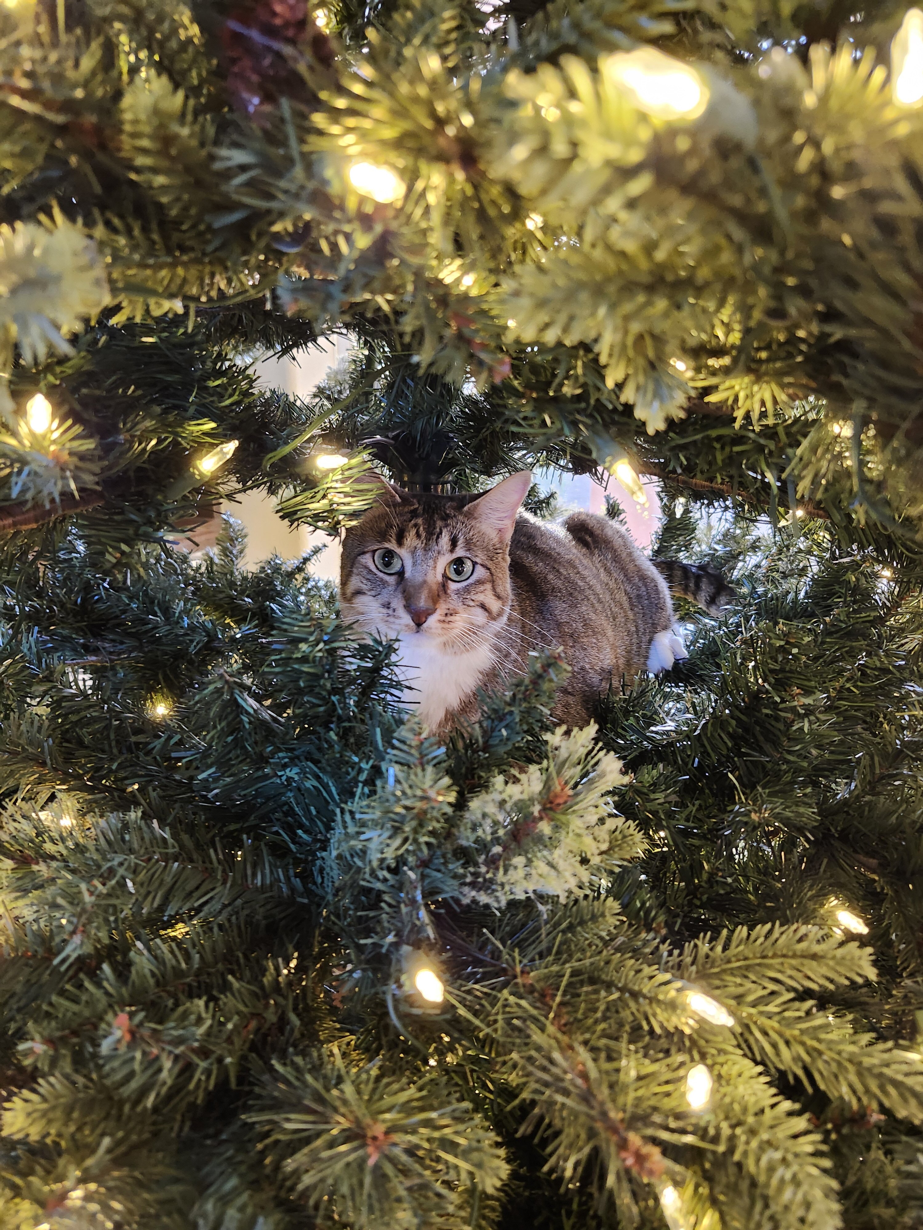 20251129_165346 (1).jpg