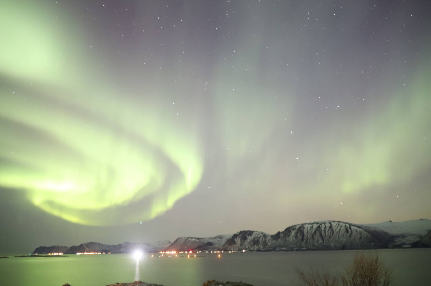 2026-01-21 192119.png