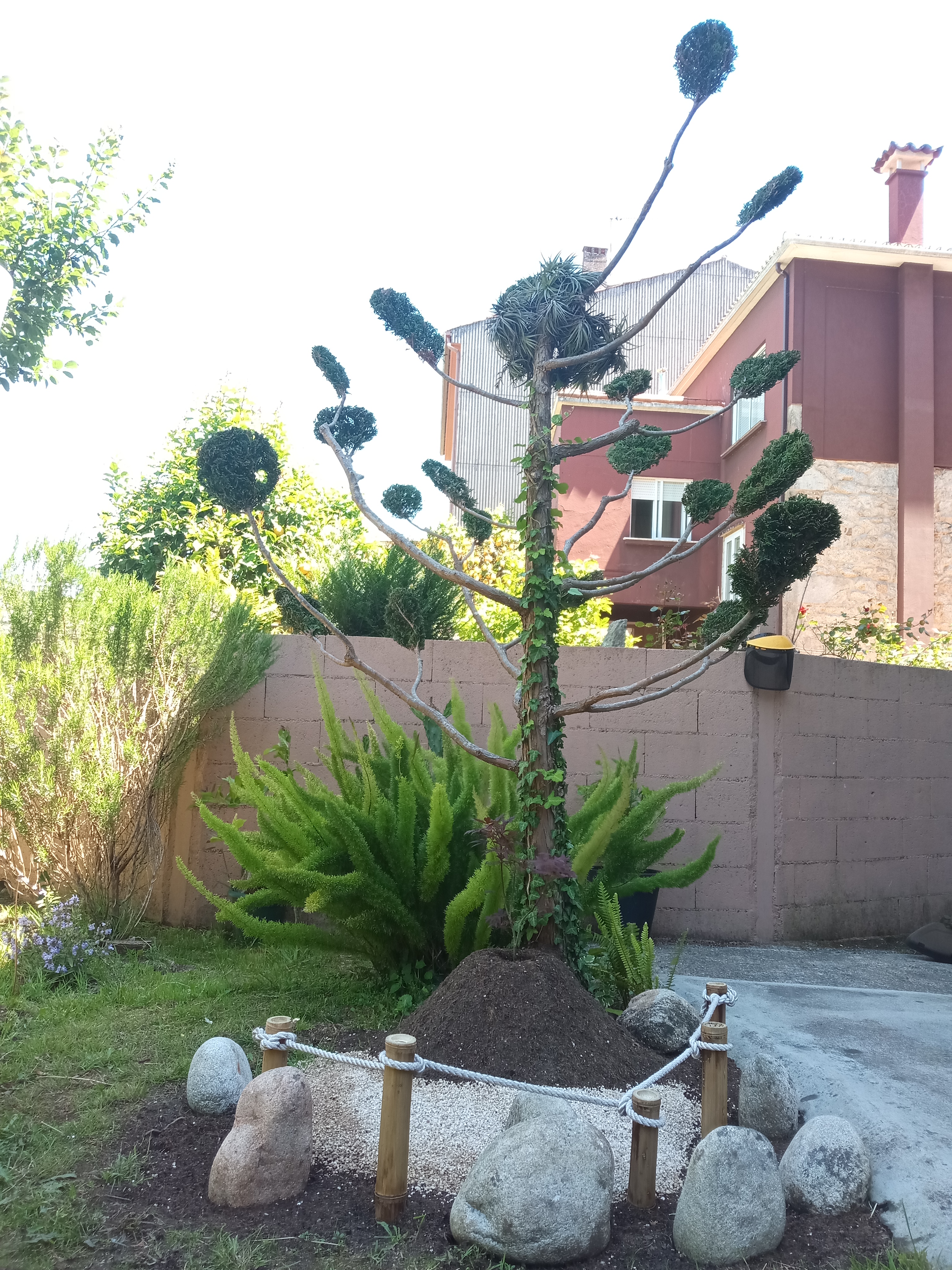 Aiguilles de nuages.jpg