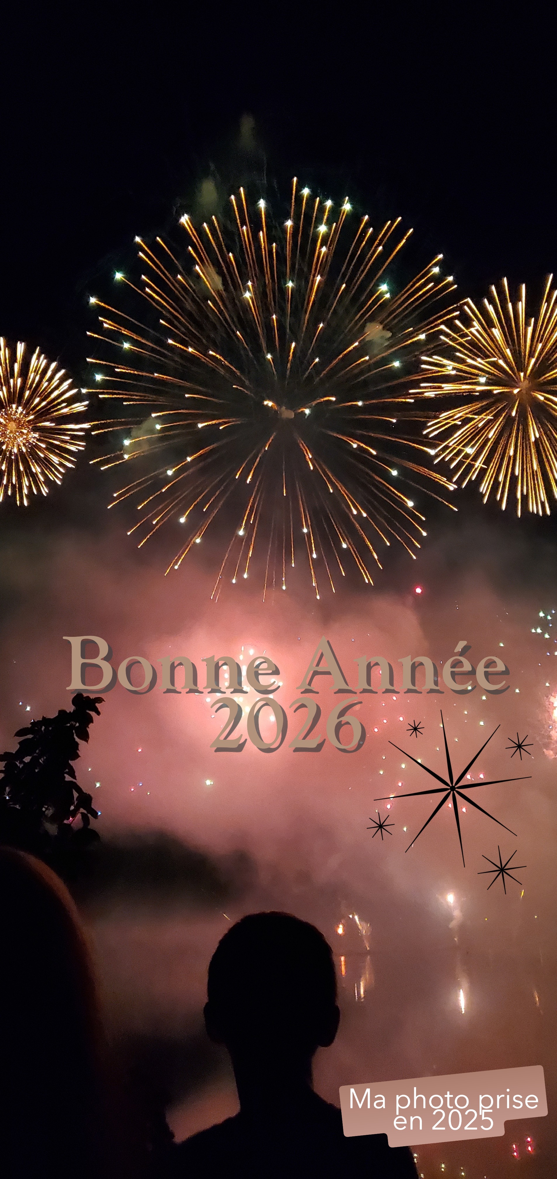 Bonne Année.JPG