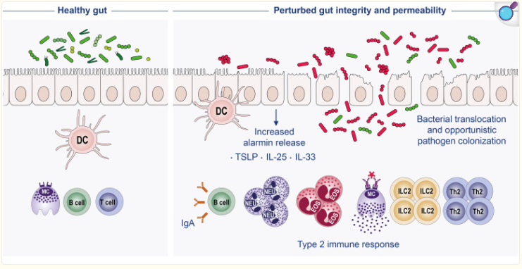 brave_screenshot_pmc.ncbi.nlm.nih.gov (1).png