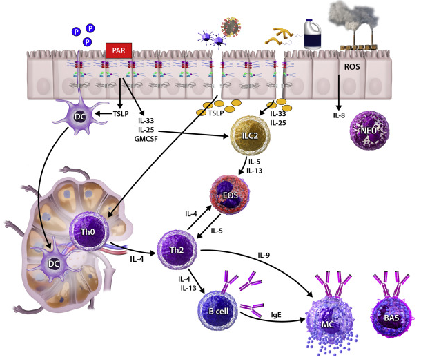 brave_screenshot_www.jacionline.org (1).png