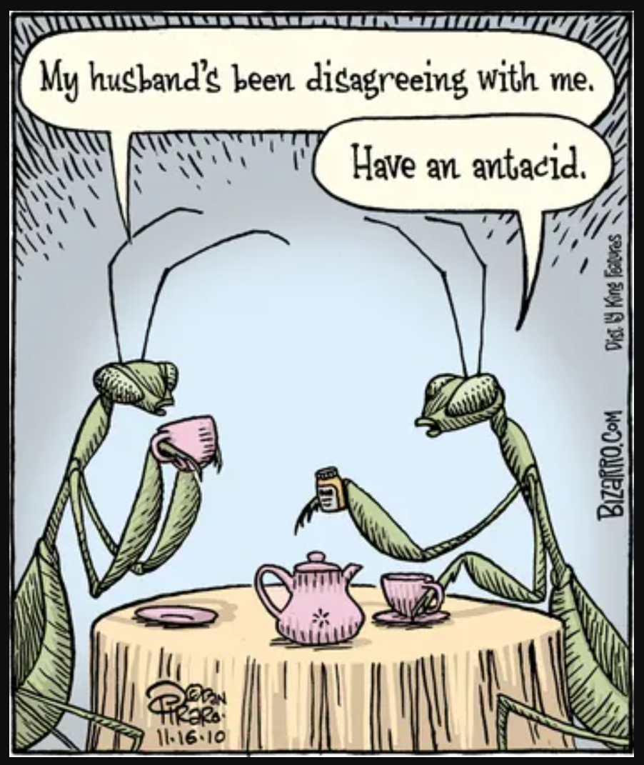 bugcomic.png