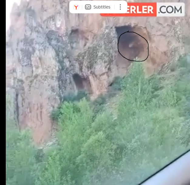 creature in cave.png