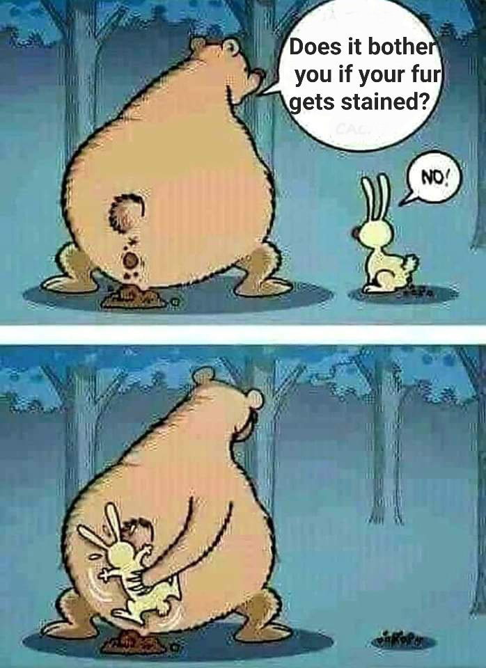 FB_IMG_1727561099178.jpg