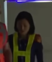 flight attendants shoulder 2.jpg