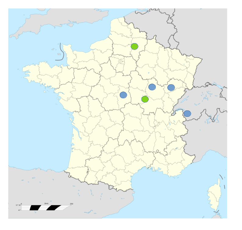 france.webp