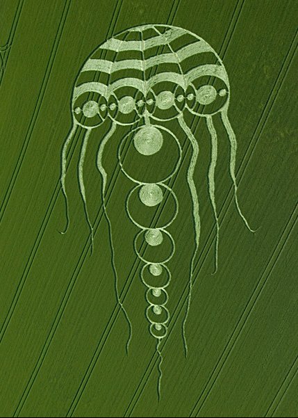 Kingston Coombes, 20090529.jpg