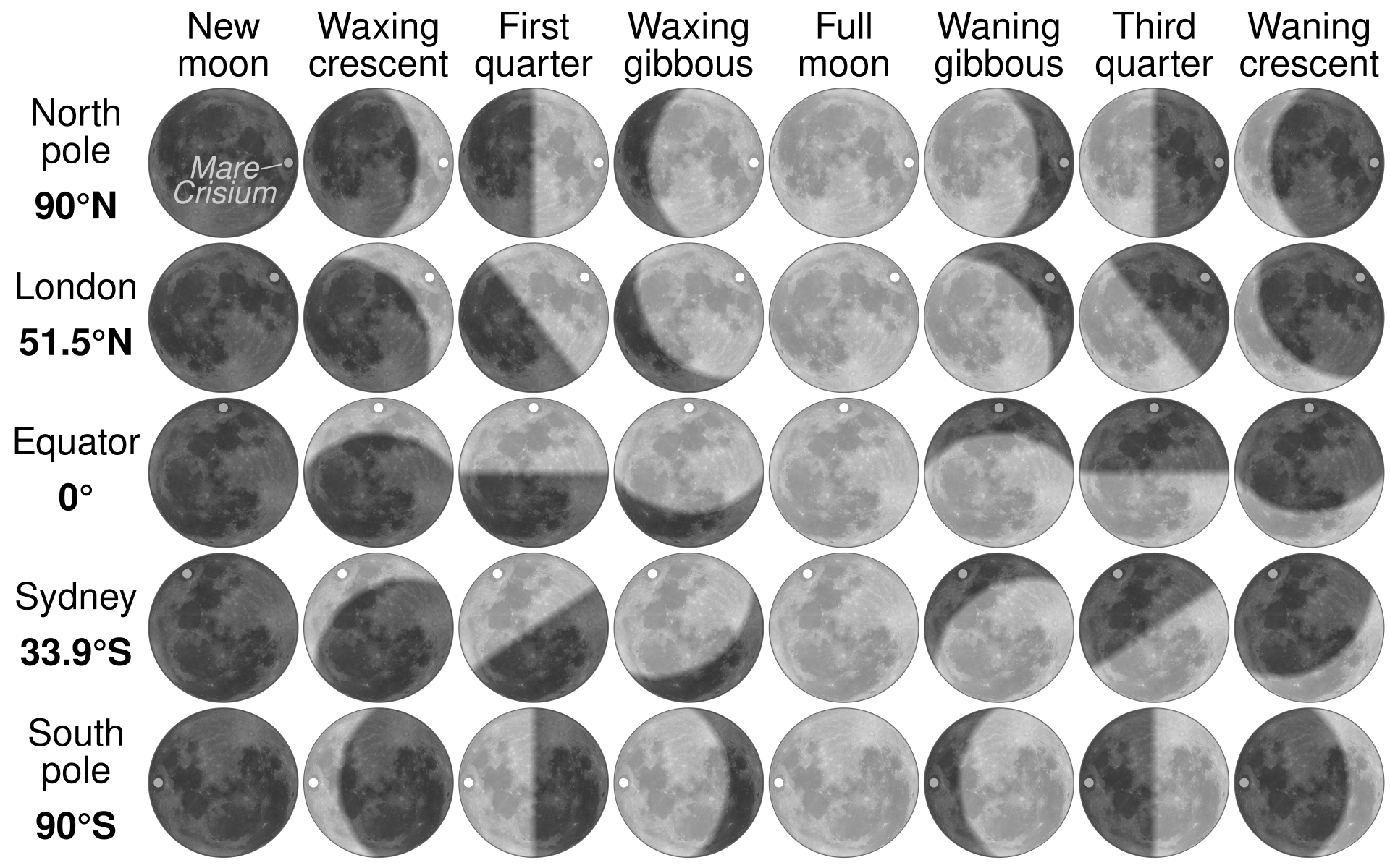 Moon_phases_by_latitude.svg.png