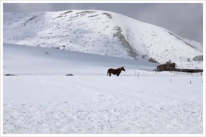 neve-marche-7.jpg