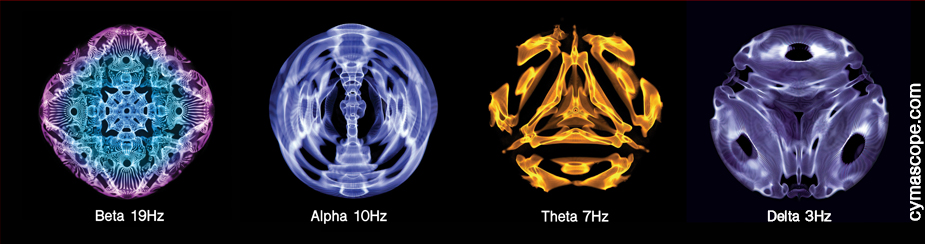 new-web-site.jpg