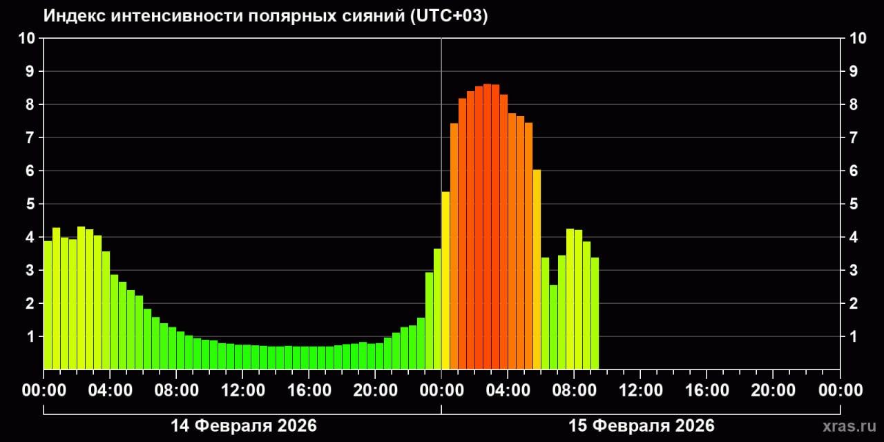 photo_2026-02-15_06-45-16 (2).jpg