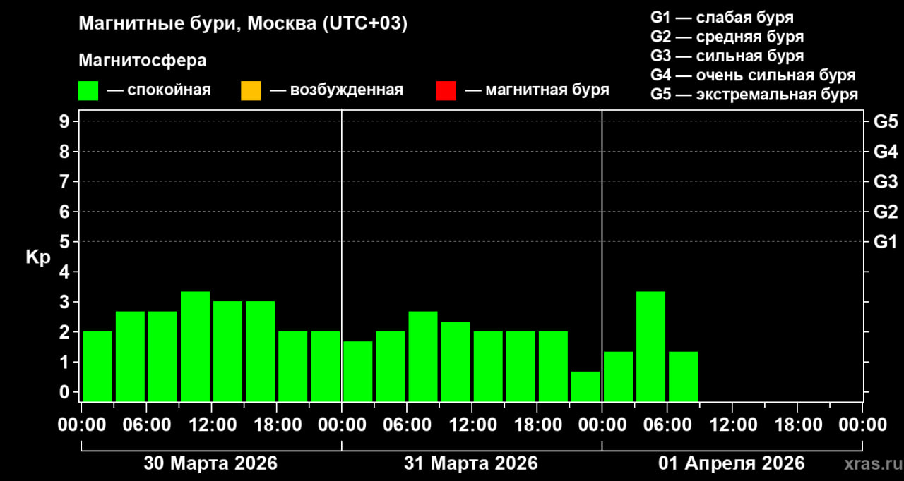 photo_2026-04-01_07-33-23 (2).jpg