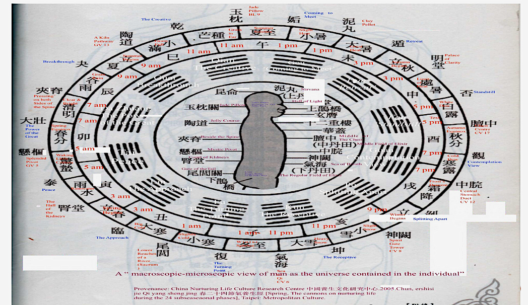 Screenshot 2025-12-07 at 19-45-24 Figure 2 - Translating The Life Energetic Qi Yin and Yang.png