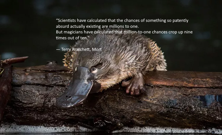 TerryPrachettQuote.png