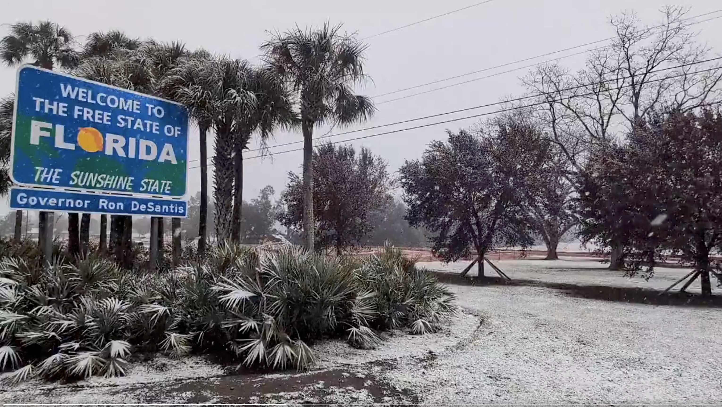 WELcome Florida 2026-1.png