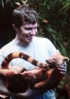 golden-mantled tree kangaroo.jpg