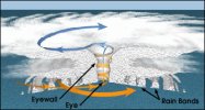 Hurricane_structure_graphic.jpg