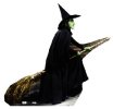 Wicked_Witch-broomstick[1].jpg