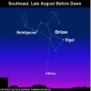 orion and sirius.jpg
