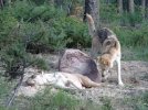 June 1 2009 027.JPG