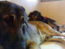 20090712152.jpg