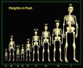 anunnaki-nephilim-height-chart[1].jpg