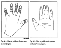 where to prick fingers.png