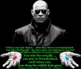 MorpheusWarning_GrnFnt_Red-Blue_Pill_Lg_OnBlk_Lg.jpg