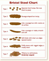 stool chart.gif