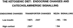 endocrine keto.png