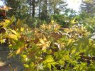 DSCN0608.JPG