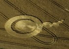 43-danebury-ring-hampshire-02-08-98-wheat-35mm.jpg