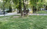 ovci-urban-park-700x445.jpg