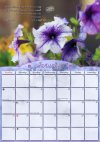 Fotcm Calendar 2019-01 SMALL.jpg