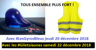 b2ap3_large_950-x-500-gyro-bleu-gilet-jaune.png