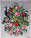 peacock and roses.jpg