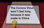 made in china virus.jpg