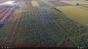 Screenshot_2020-05-26 Crop circle Alovera AL DETALLE .jpg