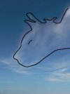 cloud12.jpg