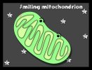 CC_II__Smiling_mitochondrion_by_hyky.jpg