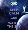 08) keep-calm-and-watch-the-sky.jpg