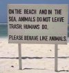 HumanAnimalBeach.jpeg