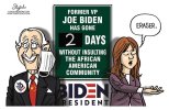 biden-blacks-insult.jpg